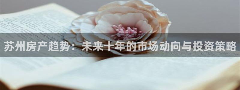 新宝cR一5：苏州房产趋势：未来十年的市场动向与投资策略