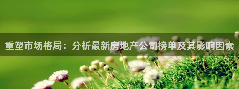 新宝gg5：重塑市场格局：分析最新房地产公司榜单及其影响因素