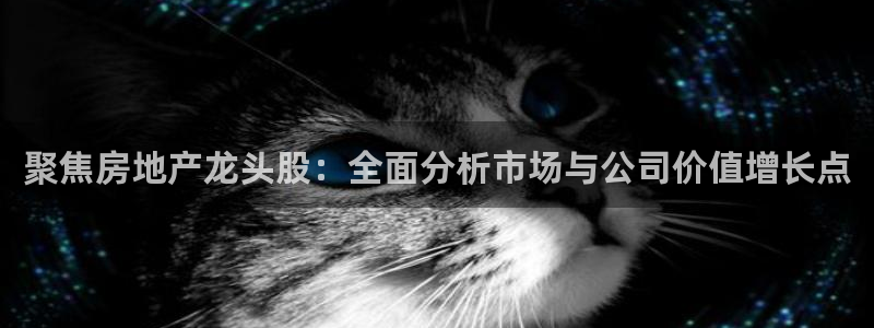 新宝5娱乐主管：聚焦房地产龙头股：全面分析市场与公司价值增长