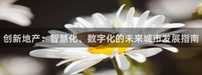 新宝5注册首页：创新地产：智慧化、数字化的未来城市发展指南