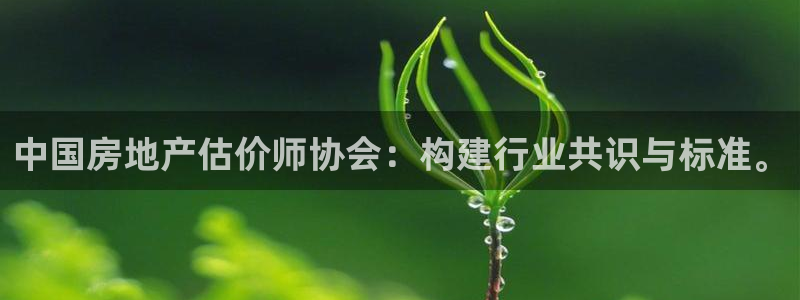 新宝5_测：中国房地产估价师协会：构建行业共识与标准。