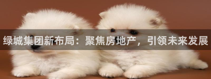 新宝5娱乐没：绿城集团新布局：聚焦房地产，引领未来发展
