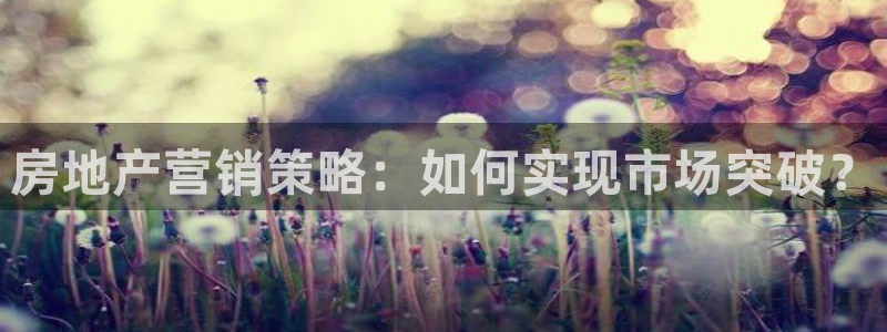 新宝_5：房地产营销策略：如何实现市场突破？