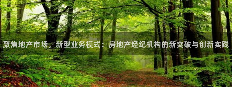 新宝5测试：聚焦地产市场，新型业务模式：房地产经纪机构的新突
