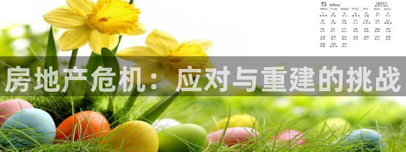 新宝5主管：房地产危机：应对与重建的挑战