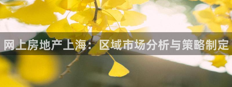 新宝5在哪里：网上房地产上海：区域市场分析与策略制定