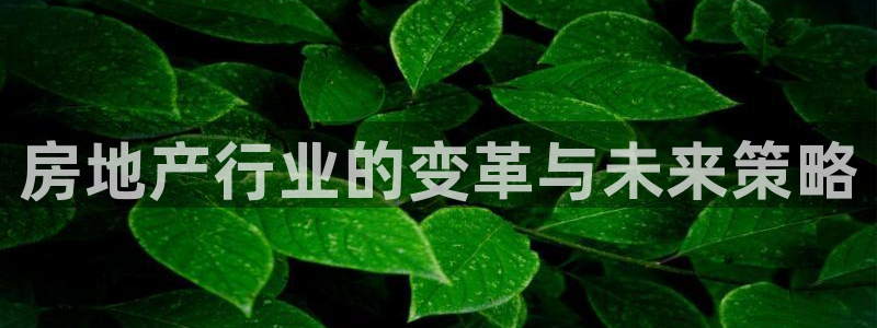 新宝5手机平台登陆：房地产行业的变革与未来策略