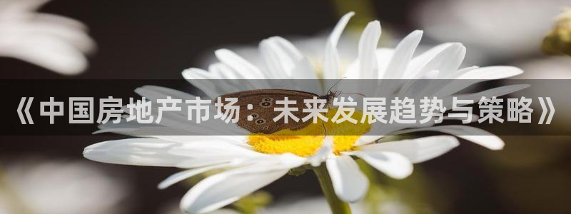 新宝rm5：《中国房地产市场：未来发展趋势与策略》