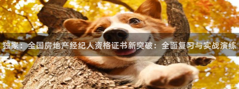 新宝5测速：独家：全国房地产经纪人资格证书新突破：全面复习与