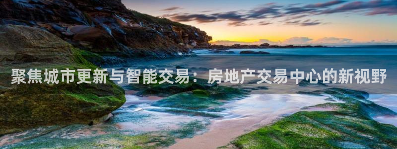 新宝5代理：聚焦城市更新与智能交易：房地产交易中心的新视野