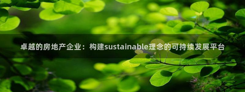 新宝5 - 测速登陆：卓越的房地产企业：构建sustaina