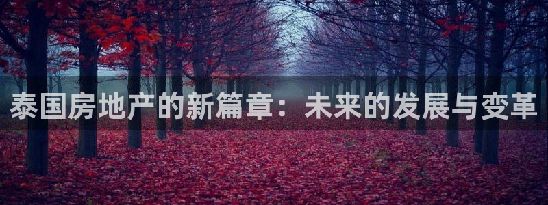 新宝5娱乐代理：泰国房地产的新篇章：未来的发展与变革