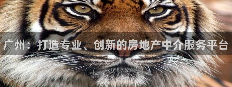 新宝5王问74OOO5：广州：打造专业、创新的房地产中介服务