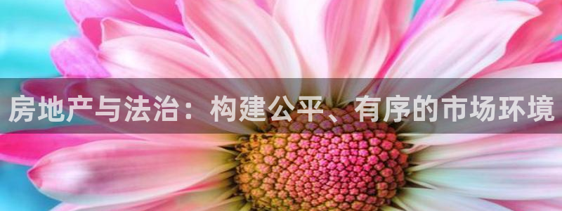 新宝5招商222111：房地产与法治：构建公平、有序的市场环