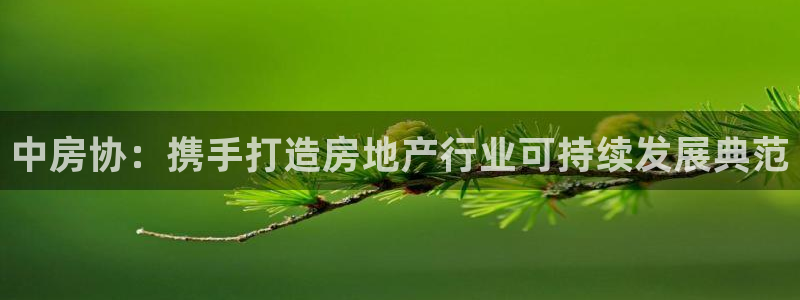 新宝5下载到桌面：中房协：携手打造房地产行业可持续发展典范