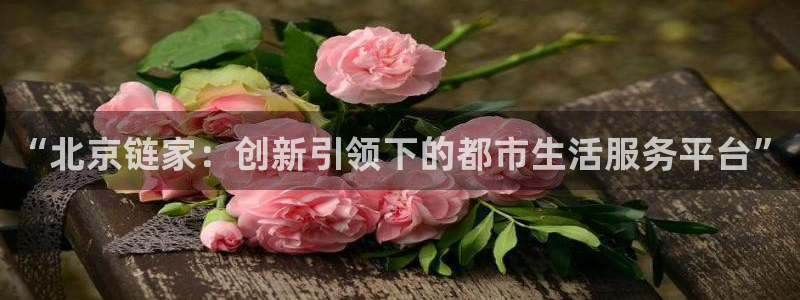 新宝5代理注册：“北京链家：创新引领下的都市生活服务平台”