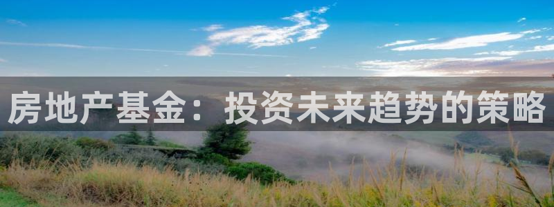 新宝5挂机软件：房地产基金：投资未来趋势的策略