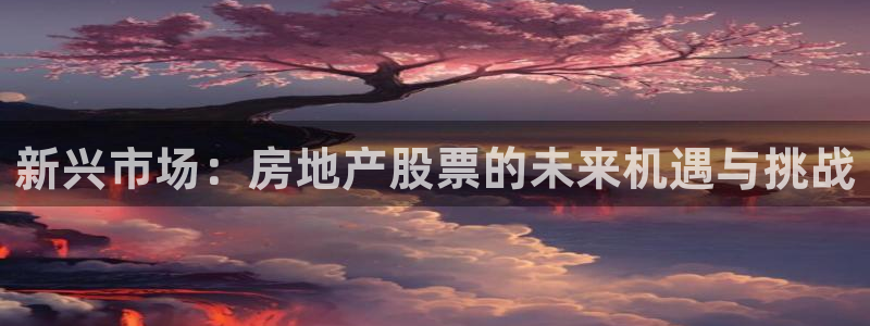 5新宝：新兴市场：房地产股票的未来机遇与挑战