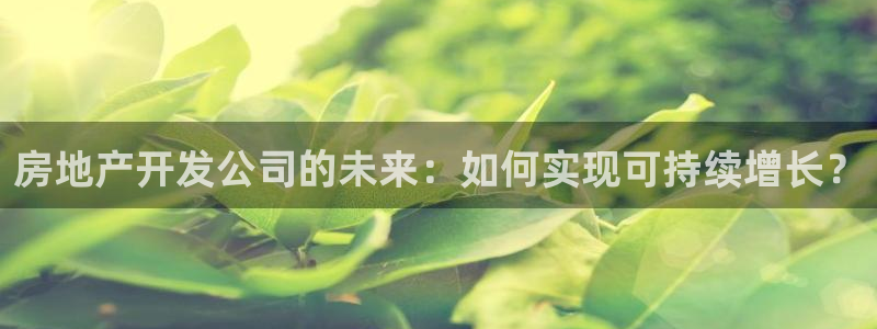 新宝5找找74OOO5：房地产开发公司的未来：如何实现可持续