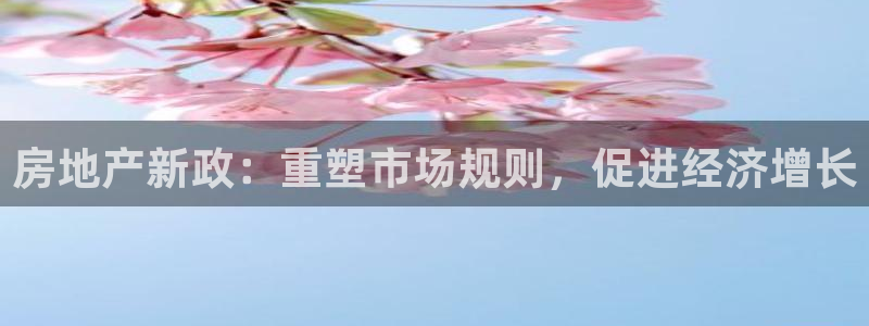 新宝5招商部：房地产新政：重塑市场规则，促进经济增长