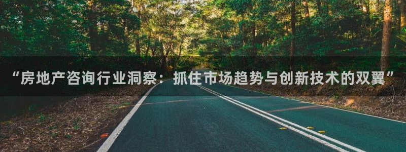 新宝5新宝6顺达：“房地产咨询行业洞察：抓住市场趋势与创新技