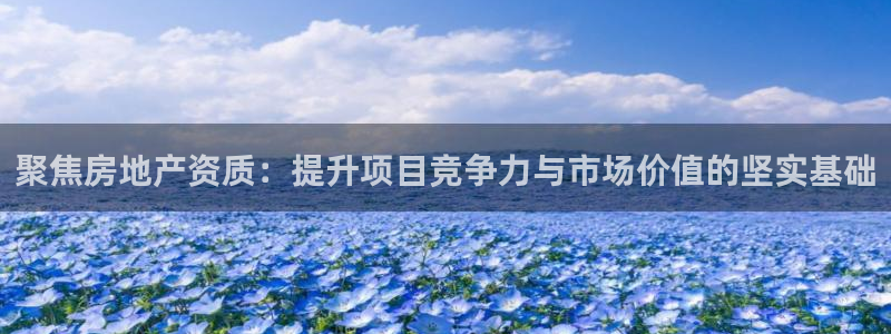 新宝股东张听2 5 5：聚焦房地产资质：提升项目竞争力与市场
