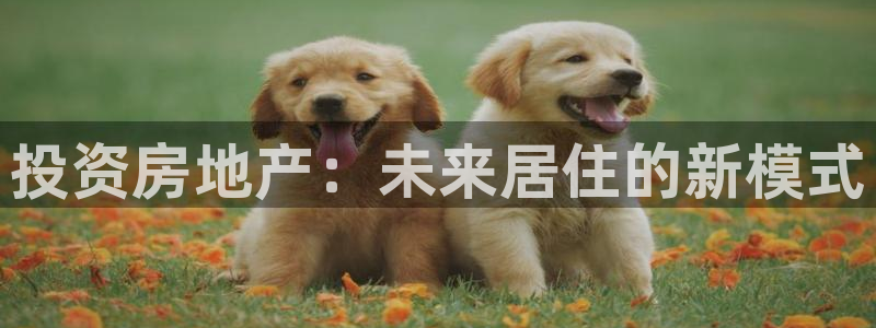 新宝5注册：投资房地产：未来居住的新模式