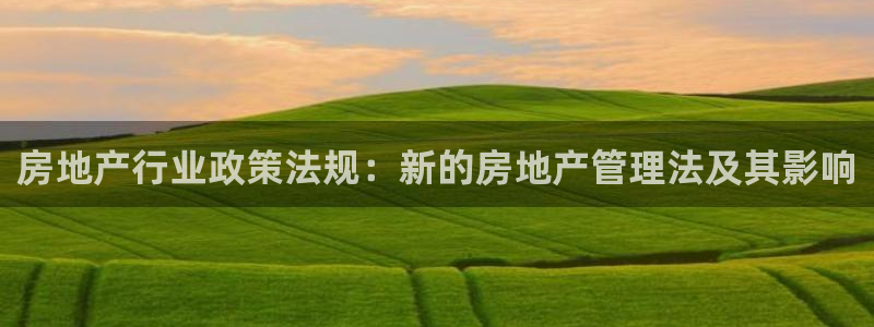 新宝5挂机软件：房地产行业政策法规：新的房地产管理法及其影响