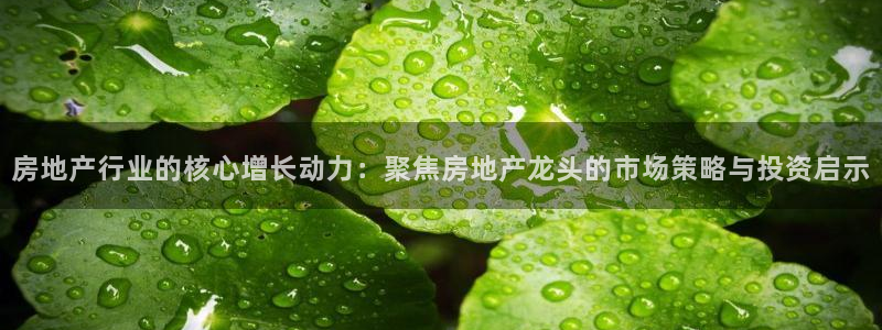 新宝5线路：房地产行业的核心增长动力：聚焦房地产龙头的市场策