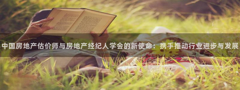 新宝股东张听2 5 5：中国房地产估价师与房地产经纪人学会的