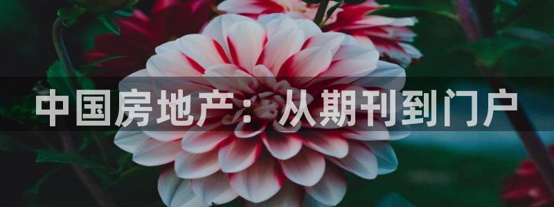 新宝rc_5w：中国房地产：从期刊到门户