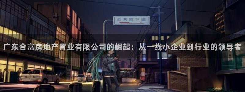 新宝股东王听2 5 5：广东合富房地产置业有限公司的崛起：从