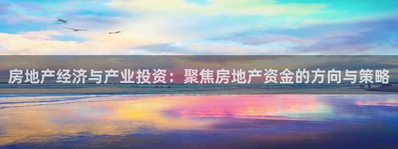新宝5账号注册：房地产经济与产业投资：聚焦房地产资金的方向与