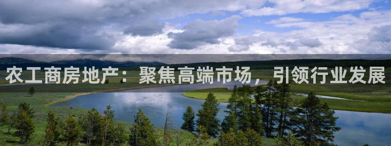 新宝5王问74OOO5：农工商房地产：聚焦高端市场，引领行业