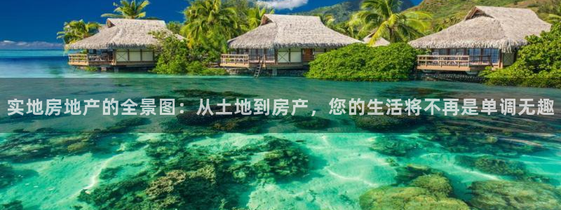 新宝5谠631257：实地房地产的全景图：从土地到房产，您的