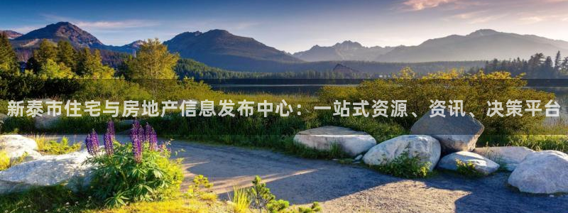 新宝5链接：新泰市住宅与房地产信息发布中心：一站式资源、资讯