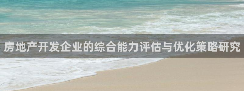 新宝5现在还能玩吗：房地产开发企业的综合能力评估与优化策略研