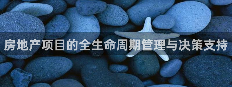 新宝5手机版：房地产项目的全生命周期管理与决策支持