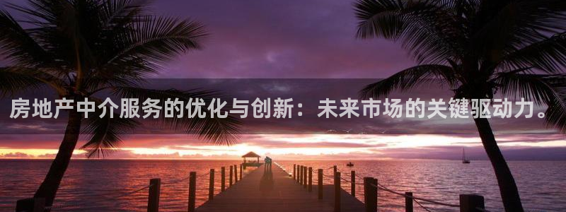 新宝5尤74OOO5：房地产中介服务的优化与创新：未来市场的