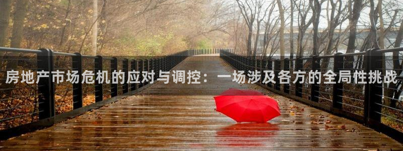 新宝5登陆：房地产市场危机的应对与调控：一场涉及各方的全局性