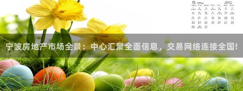 新宝6霸哥5：宁波房地产市场全景：中心汇聚全面信息，交易网络