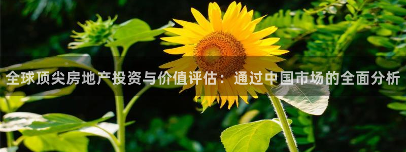 老新宝5授权登录：全球顶尖房地产投资与价值评估：通过中国市场