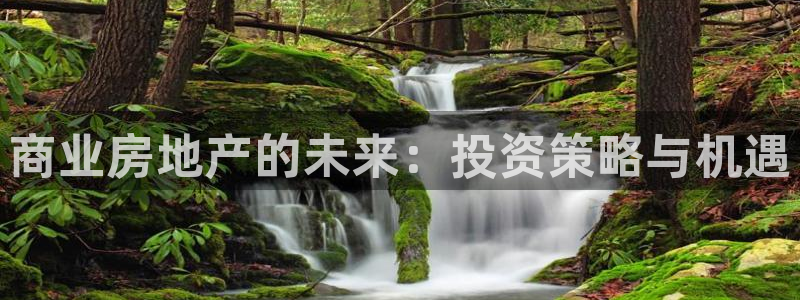 新宝5注册流程：商业房地产的未来：投资策略与机遇