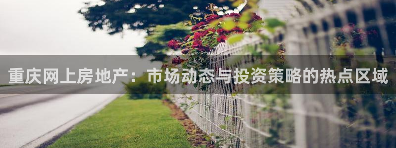新宝5彩票平台登陆：重庆网上房地产：市场动态与投资策略的热点