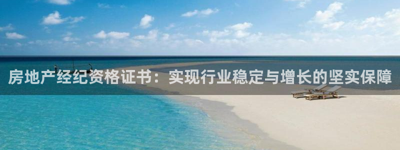 新宝5娱乐如：房地产经纪资格证书：实现行业稳定与增长的坚实保