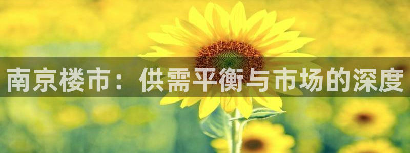 新宝5娱乐没：南京楼市：供需平衡与市场的深度