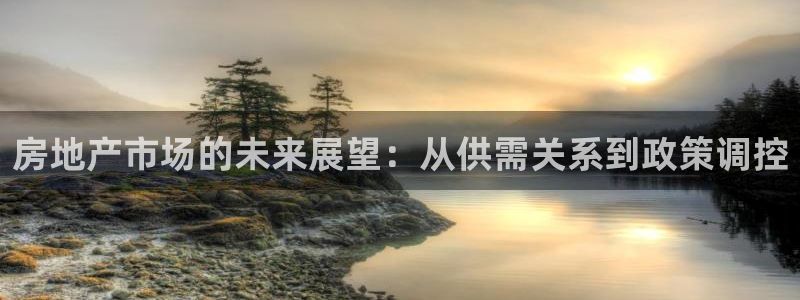 新宝rc_5w：房地产市场的未来展望：从供需关系到政策调控