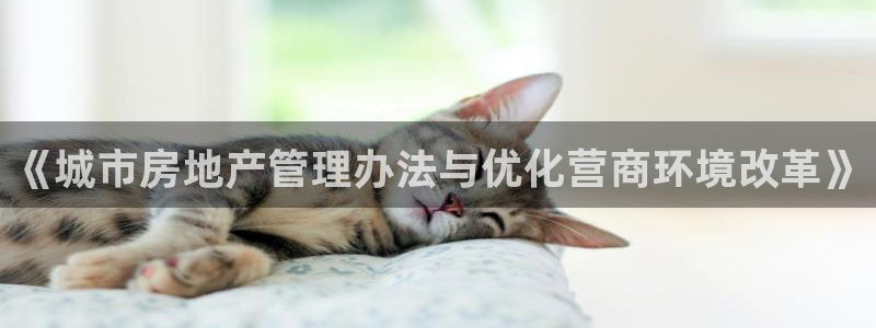 新宝5手机测速：《城市房地产管理办法与优化营商环境改革》