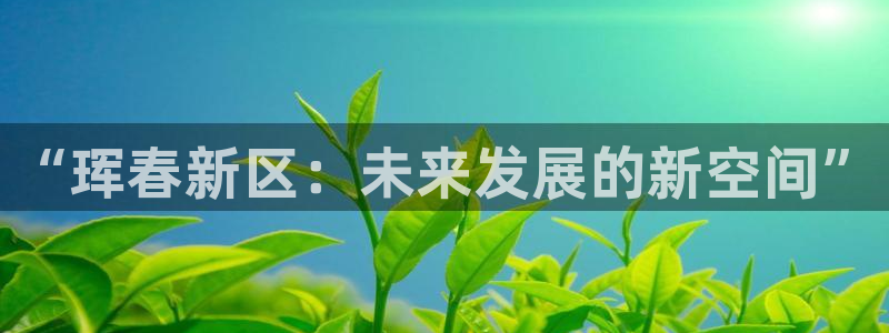 新宝5测试