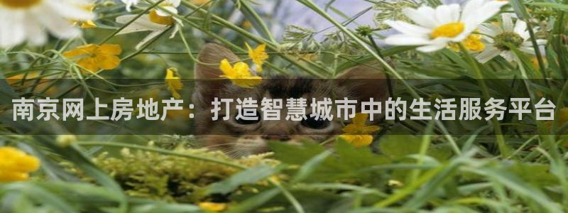 新宝5登录入口网址：南京网上房地产：打造智慧城市中的生活服务